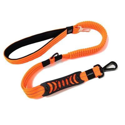 car pet leash
