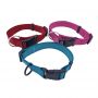 nylon dog collar
