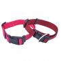 nylon dog collar
