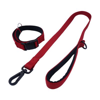 dog leash