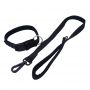 nylon dog leash
