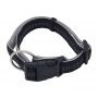 dog collar