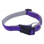 dog collar