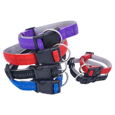 dog collar