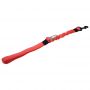 bungee car dog leash