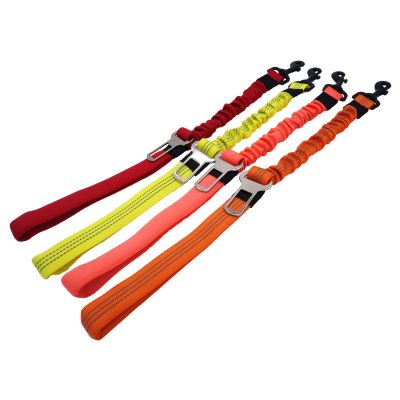 car pet leash