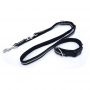 multifunctional dog leash