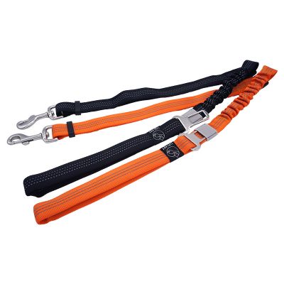 car pet leash