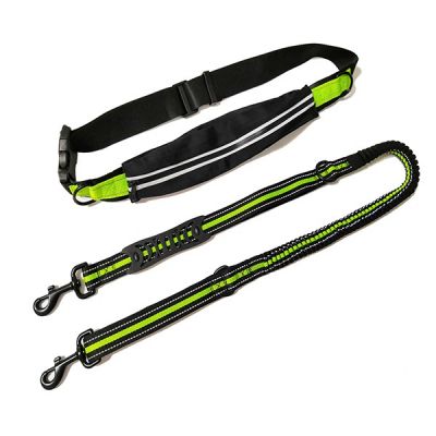 dog leash
