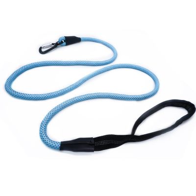 dog leash