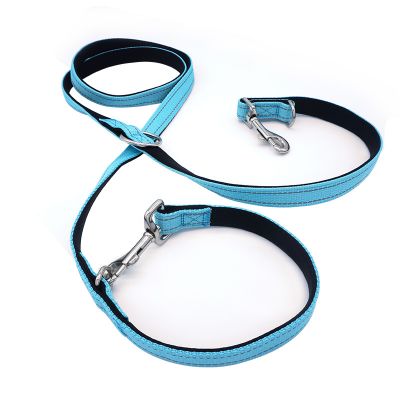dog leash