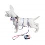 dog harness leash collar set