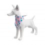 dog harness leash collar set