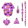 Halloween dog leash harness set