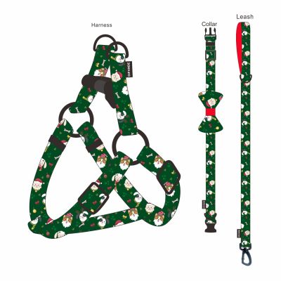 dog harness