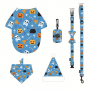 Halloween dog leash harness set