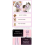 Pet drying brush
