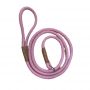 Dog Leash Slip Lead