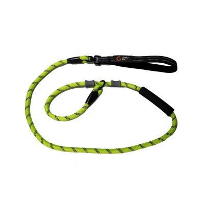 dog leash