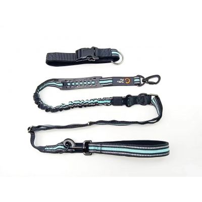 dog leash