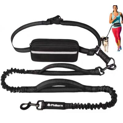 dog leash
