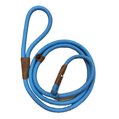 dog slip lead
