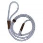 dog slip lead