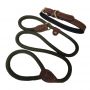  Pet Collar Leash