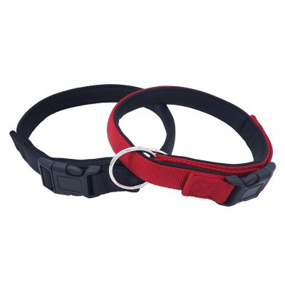 dog collar