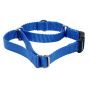 dog training collar