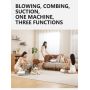 pet vacuum grooming