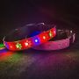 LED dog collar