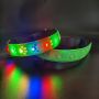 LED dog collar