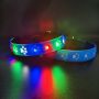 LED dog collar